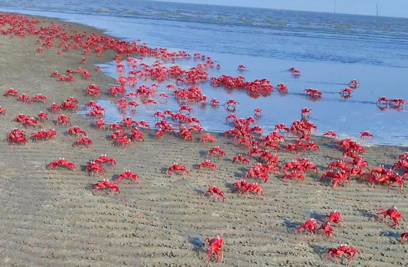 Musiqiy porno videolar