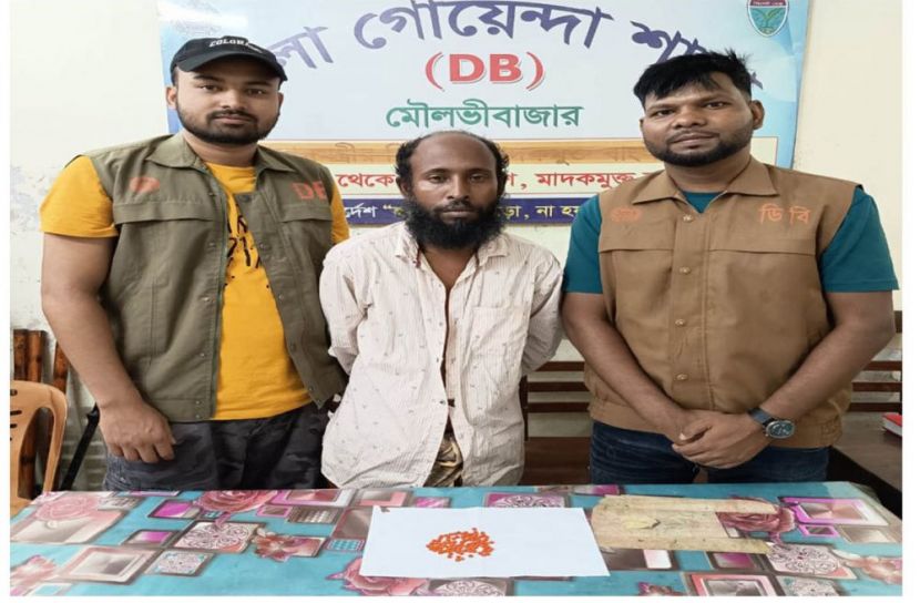 ডিবি'র জালে ১২১ পিস ইয়াবাসহ আটক-১
