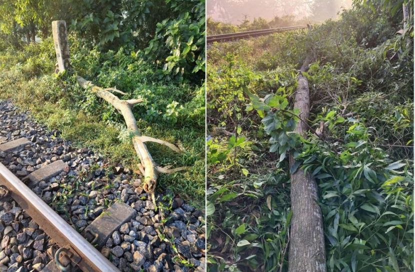 ফেনীতে রেললাইনে গাছ কেটে ফের নাশকতার চেষ্টা