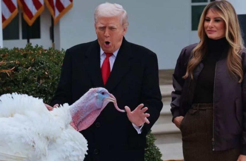 দুই টার্কি মুরগিকে আনুষ্ঠানিকভাবে ‘ক্ষমা’ করলেন ট্রাম্প