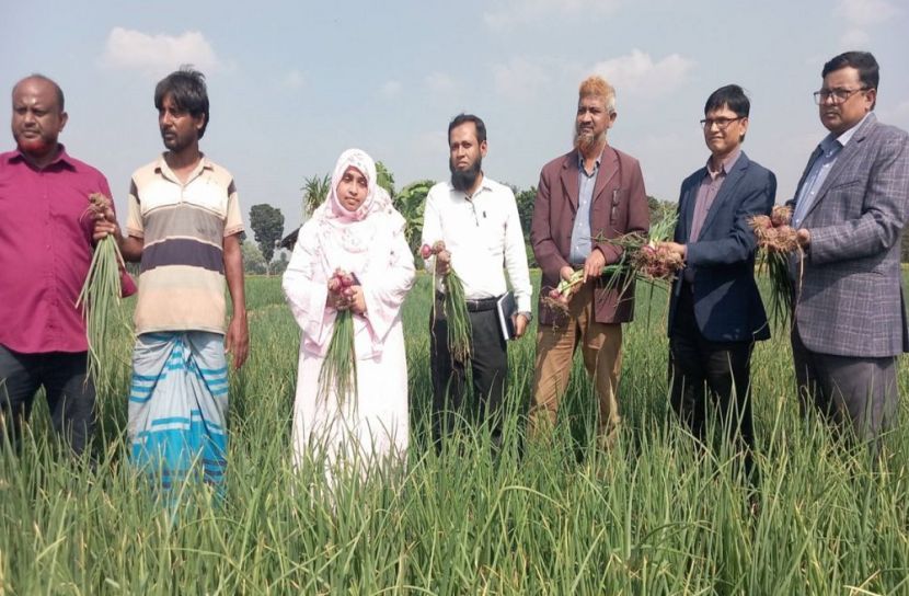 উচ্চমূল্য ও নিরাপদ ফসল উৎপাদনে আগ্রহ বাড়ছে কুষ্টিয়ার কৃষকদের