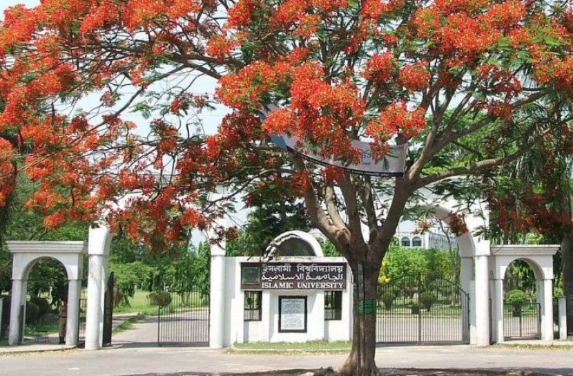 ইবি শিবিরকে জড়িয়ে ছাত্রদল নেত্রীর অভিযোগের নিন্দা