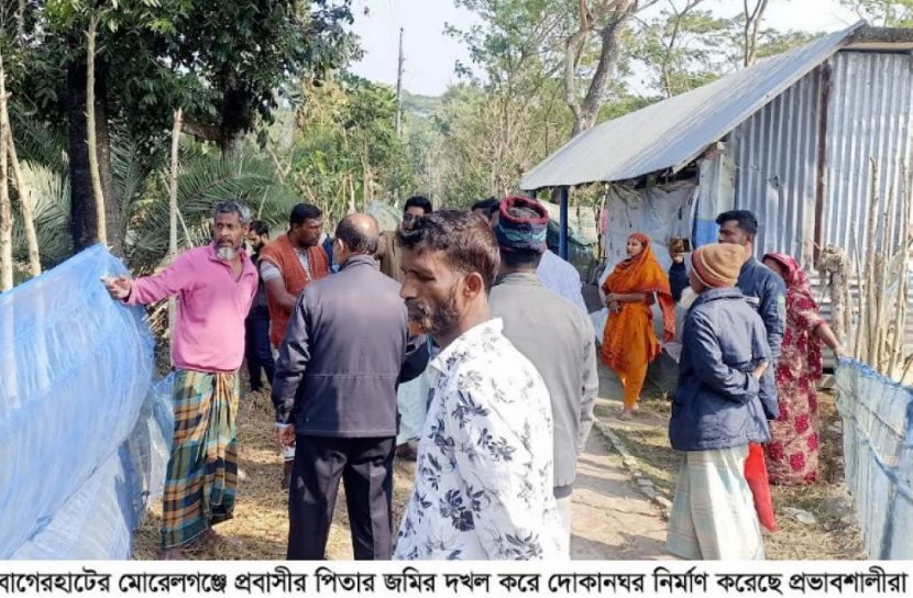 মোরেলগঞ্জে প্রবাসীর জমি দখল ও জোরপূর্বক ধান কাটার অভিযোগ