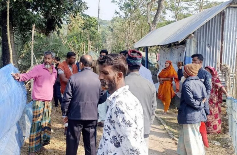 মোরেলগঞ্জে প্রবাসীর জমি দখল ও জোরপূর্বক ধান কাটার অভিযোগ