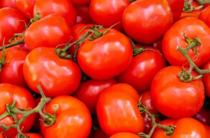 কেমিক্যাল দিয়ে পাকানো টমেটোতে সয়লাব মনোহরদী বাজারসহ আশেপাশের হাটবাজার