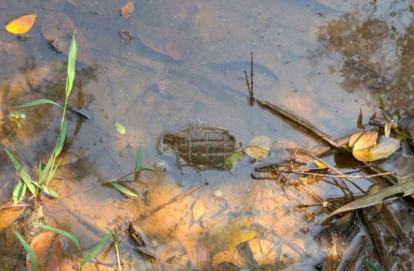 মৌলভীবাজারের কমলগঞ্জে বসতবাড়ির পাশে পরিত্যক্ত অবস্থায় একটি গ্রেনেড উদ্ধার