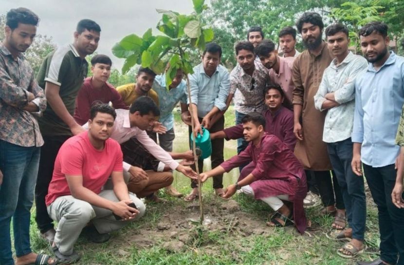 নীলফামারী সরকারি কলেজ ছাত্রদলের বৃক্ষরোপণ কর্মসূচি