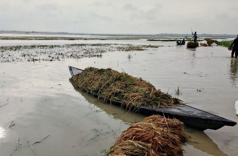 ভারী বর্ষণ ও পাহাড়ি ঢল মদনে ৪ হাজার হেক্টর ইরিবোরো জমি পানির নিচে