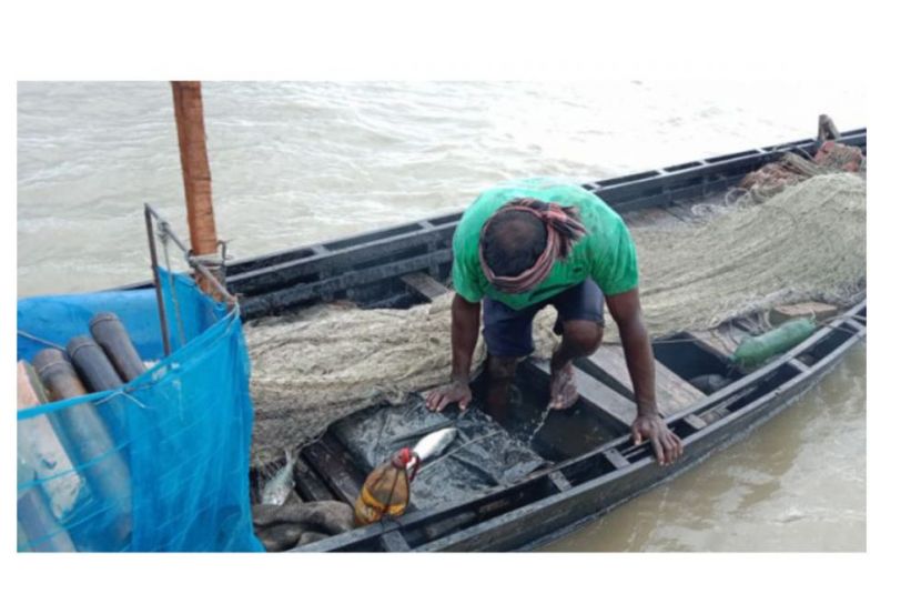 ভোলার নদীতে ইলিশের আকাল।। হতাশা নিয়ে ফিরছে জেলেরা 