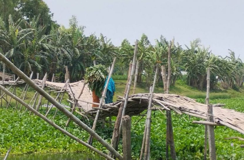 চরখোর্দ্দার ঝুঁকিপূর্ণ বাঁশের সাঁকো: ঝুঁকিতে  প্রায় ১০ হাজার মানুষ  ‎