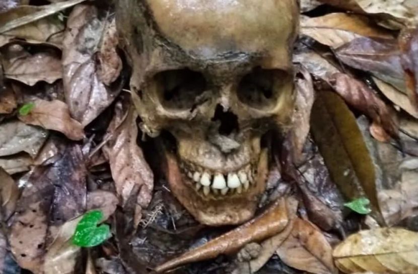 বান্দরবানে বাইশারীর গহিন জঙ্গল থেকে অজ্ঞাত ব্যক্তির কঙ্কাল উদ্ধার