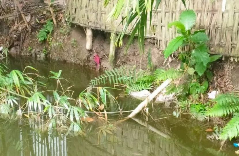 উলিপুরে বসতভিটার পাশে গভীর গর্ত করে মাটি কাটার অভিযোগ, ধসের শঙ্কা