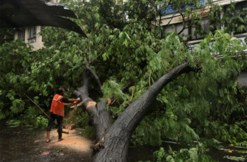 চীনে জোড়া টর্নেডোর আঘাত, নিহত ১১