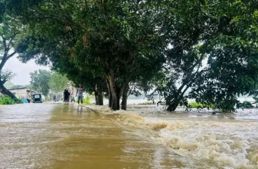 পানিবন্দী ১০ হাজার মানুষ, টমেটো তলিয়ে কৃষকের হাহাকার