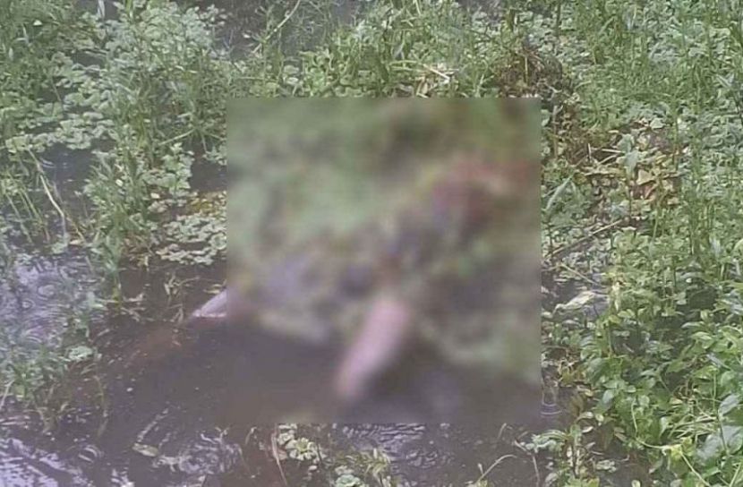 নোয়াখালীর বেগমগঞ্জ নিখোঁজের দুদিন পর ডোবা থেকে এক যুবকের মরদেহ উদ্ধার