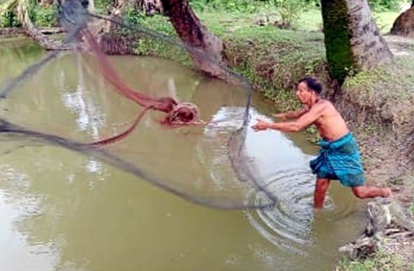 কলাপাড়ায় বিলুপ্তপ্রায় দেশীয় মাছ চাষে স্বাবলম্বী হচ্ছেন গ্রামীণ নারী-পুরুষ