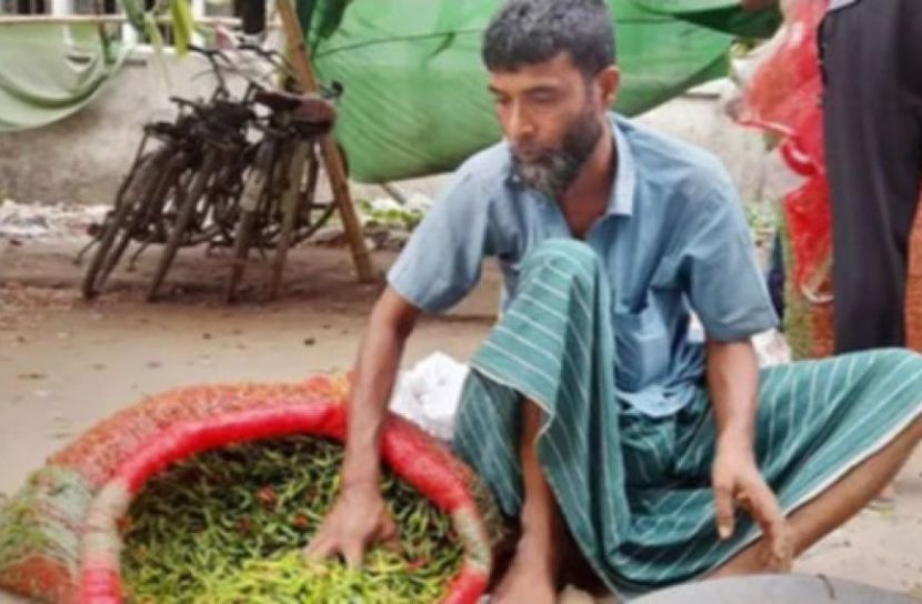 বৃষ্টির প্রভাবে সবজির বাজারে আগুন, ঈশ্বরদীতে বেড়েছে মরিচের দাম