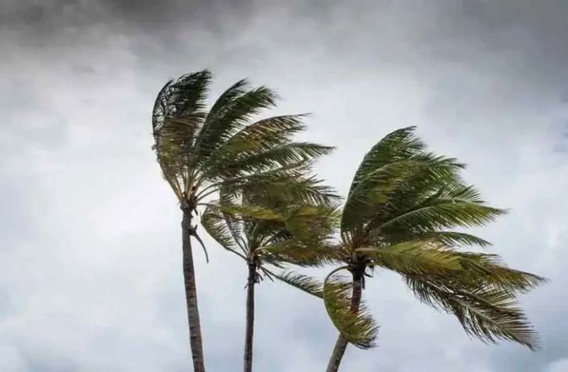 ঝড়ের শঙ্কায় ৪ বন্দরে সতর্কতা