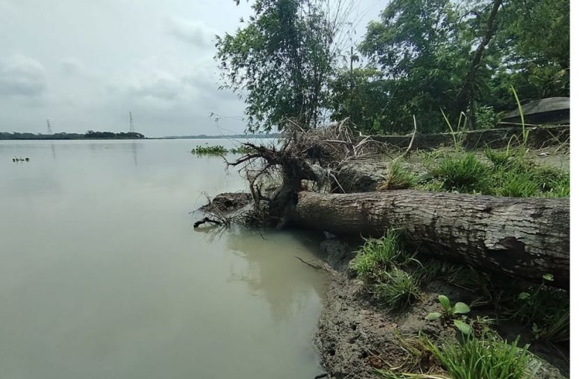 স্বামীর কবর নদীতে বিলীন, মানুষ মরলে কবর দেব কোথায়