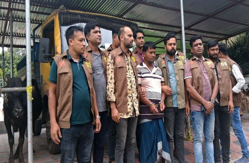 বাগেরহাটে  ১১টি চোরাই গরু উদ্ধার, গ্রেপ্তার ৩