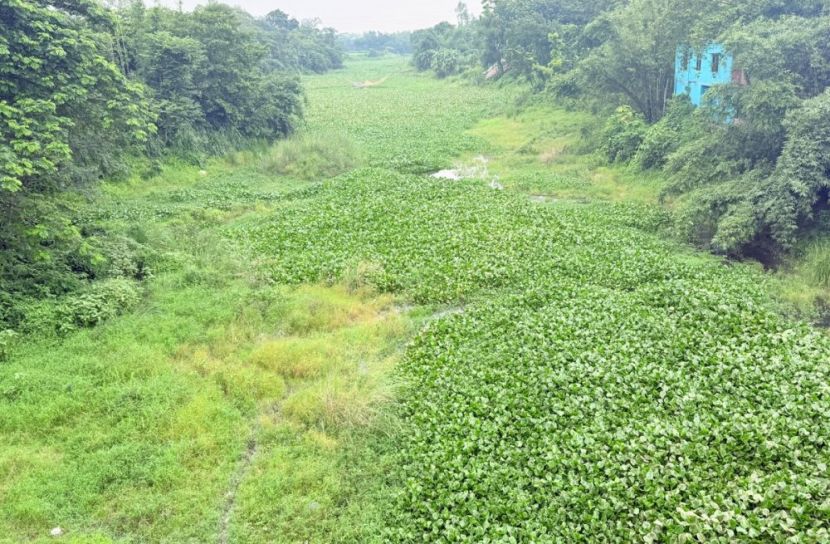 পানিশূন্য গাজীখালী, বাড়ছে দুর্ভোগ