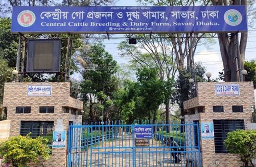 চাঁদা না দেওয়ায় মাছ ছিনতাই, বাবা-ছেলেসহ ৩ জনকে মারধর