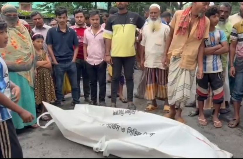 উল্লাপাড়ায় ট্রাক - পিকআপ সংঘর্ষে চালকের মৃত্যু