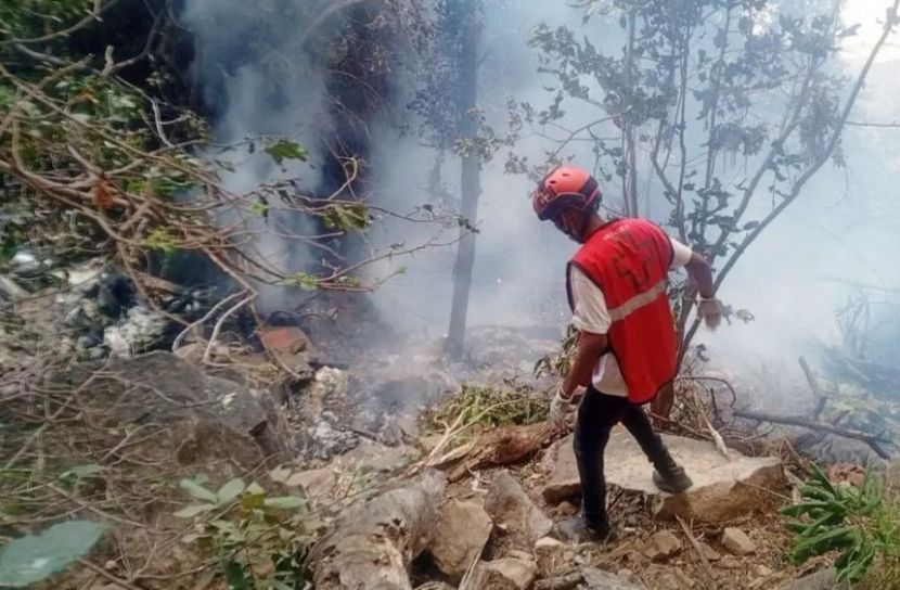 কেনিয়ায় হেলিকপ্টার বিধ্বস্ত, নিহত ৭