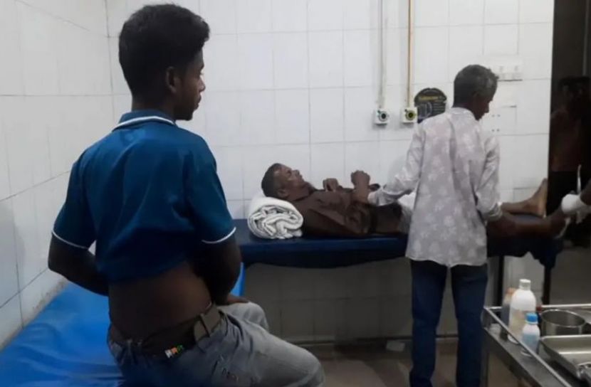 পঞ্চগড়ে শিয়ালের হামলায় আহত ৭