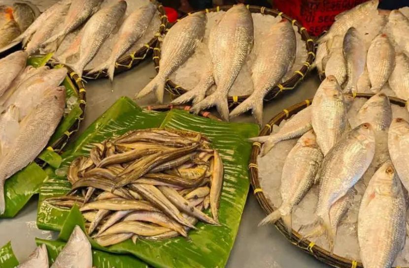 বাজারে ইলিশ, দাম নাগালের বাইরে