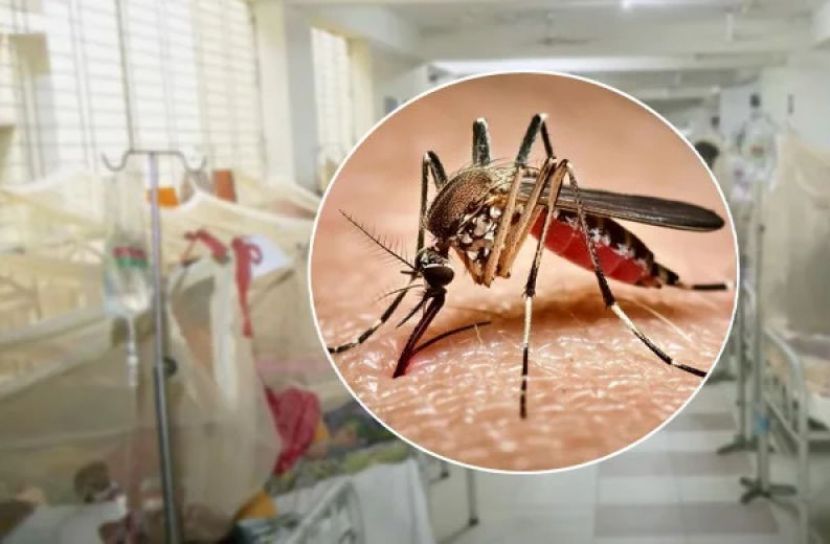 ডেঙ্গুতে ৭ দিনে ৩৩ জনের মৃত্যু