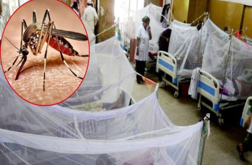 সেপ্টেম্বরে ডেঙ্গুতে ১১৪ জনের মৃত্যু