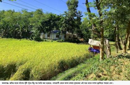 বন্যপ্রাণী থেকে ফসল রক্ষায় রাতের পাহারা 