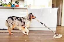 সংগৃহীত