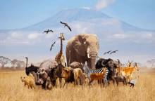 সংগৃহীত