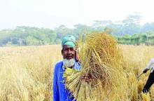 ছবি:সংগৃহীত