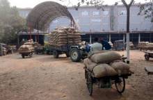 ফুলবাড়ীর হিমাগারে আলু রাখার জায়গা নেই, বিপাকে কৃষক