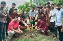 নিজস্ব প্রতিবেদক