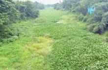 ছবি: আমার বাঙলা