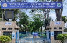 ছবি: সান নিউজ